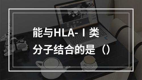 能与HLA-Ⅰ类分子结合的是（）