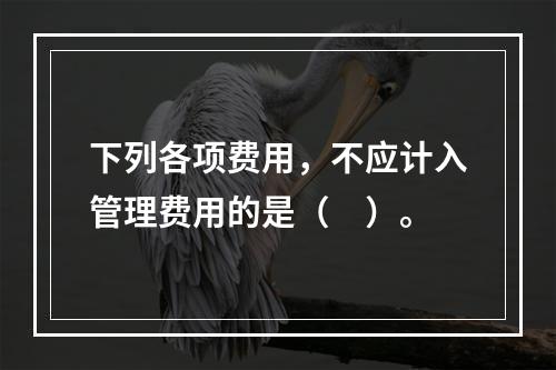 下列各项费用，不应计入管理费用的是（　）。