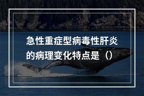 急性重症型病毒性肝炎的病理变化特点是（）