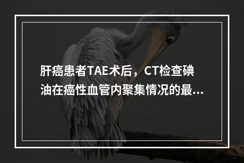 肝癌患者TAE术后，CT检查碘油在癌性血管内聚集情况的最佳时