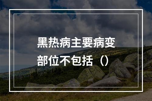 黑热病主要病变部位不包括（）