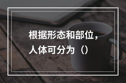 根据形态和部位，人体可分为（）