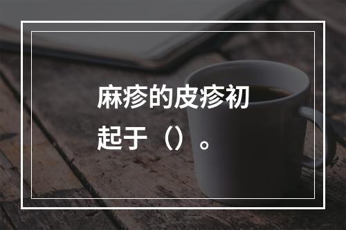 麻疹的皮疹初起于（）。