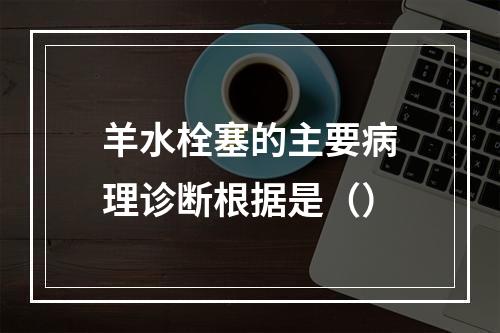 羊水栓塞的主要病理诊断根据是（）