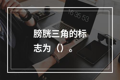 膀胱三角的标志为（）。