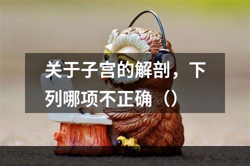 关于子宫的解剖，下列哪项不正确（）