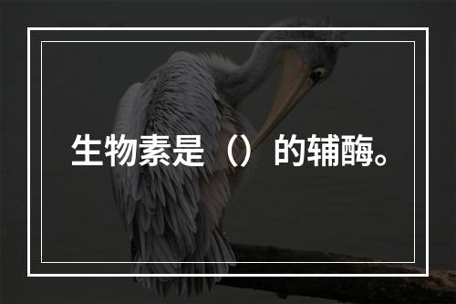 生物素是（）的辅酶。