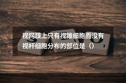 视网膜上只有视锥细胞而没有视杆细胞分布的部位是（）