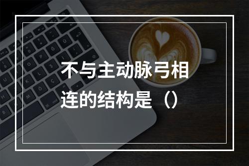 不与主动脉弓相连的结构是（）