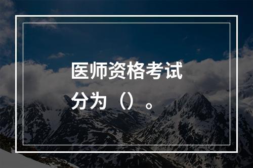 医师资格考试分为（）。