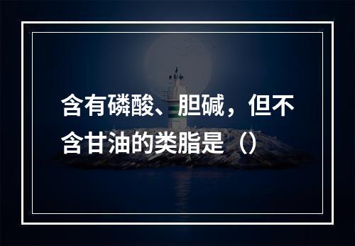 含有磷酸、胆碱，但不含甘油的类脂是（）