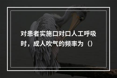 对患者实施口对口人工呼吸时，成人吹气的频率为（）