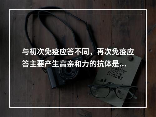 与初次免疫应答不同，再次免疫应答主要产生高亲和力的抗体是（）