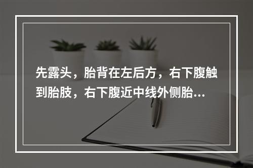 先露头，胎背在左后方，右下腹触到胎肢，右下腹近中线外侧胎心最