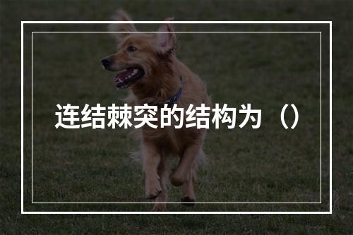 连结棘突的结构为（）