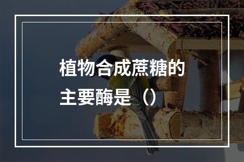 植物合成蔗糖的主要酶是（）