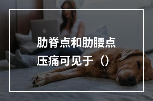 肋脊点和肋腰点压痛可见于（）