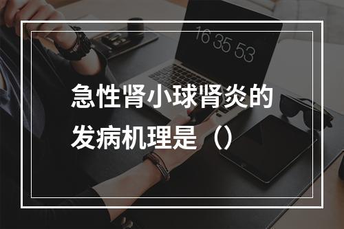 急性肾小球肾炎的发病机理是（）