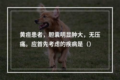 黄疸患者，胆囊明显肿大，无压痛。应首先考虑的疾病是（）