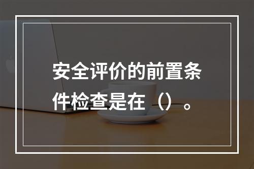 安全评价的前置条件检查是在（）。