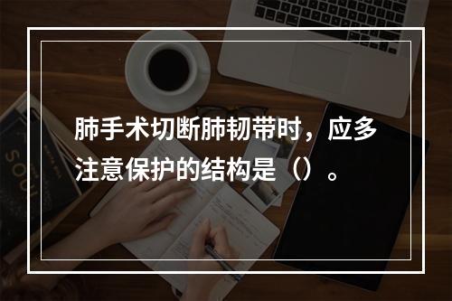 肺手术切断肺韧带时，应多注意保护的结构是（）。