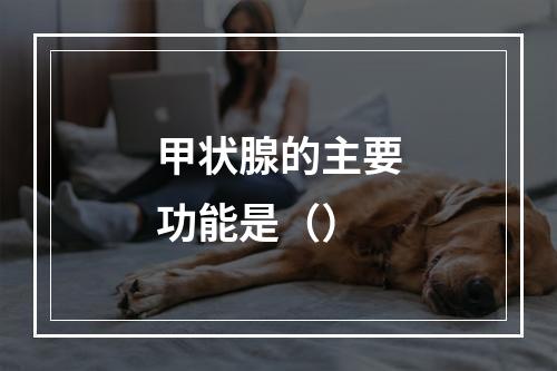 甲状腺的主要功能是（）