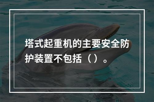 塔式起重机的主要安全防护装置不包括（ ）。