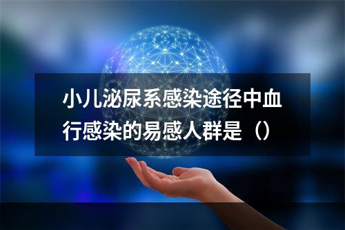 小儿泌尿系感染途径中血行感染的易感人群是（）