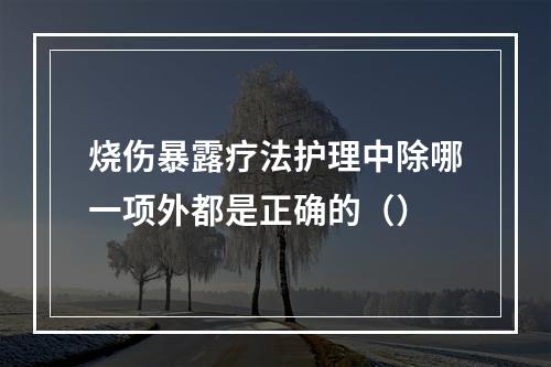 烧伤暴露疗法护理中除哪一项外都是正确的（）