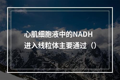 心肌细胞液中的NADH进入线粒体主要通过（）