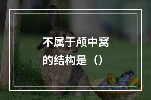 不属于颅中窝的结构是（）