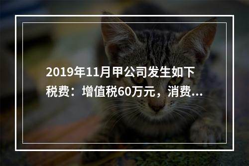 2019年11月甲公司发生如下税费：增值税60万元，消费税8