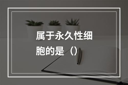 属于永久性细胞的是（）