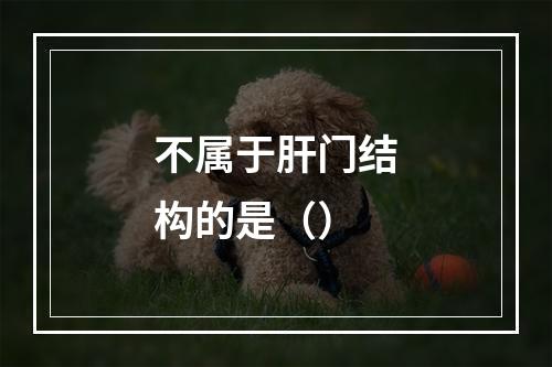 不属于肝门结构的是（）