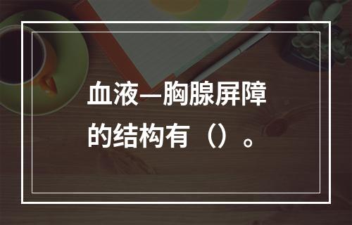 血液—胸腺屏障的结构有（）。