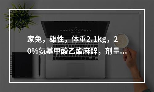 家兔，雄性，体重2.1kg，20%氨基甲酸乙酯麻醉，剂量1g