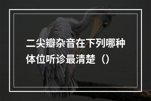 二尖瓣杂音在下列哪种体位听诊最清楚（）