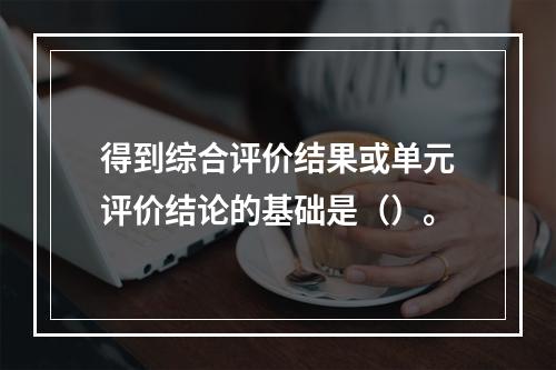 得到综合评价结果或单元评价结论的基础是（）。