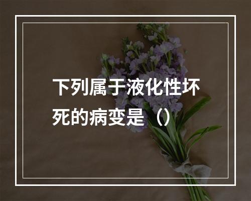 下列属于液化性坏死的病变是（）