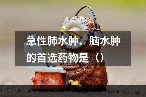 急性肺水肿、脑水肿的首选药物是（）