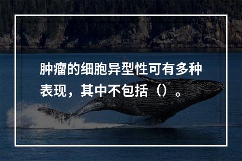 肿瘤的细胞异型性可有多种表现，其中不包括（）。