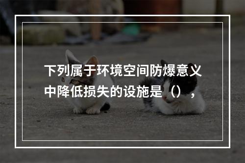 下列属于环境空间防爆意义中降低损失的设施是（），