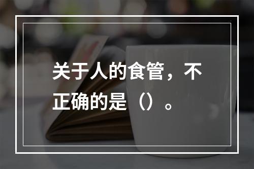 关于人的食管，不正确的是（）。