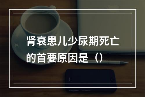 肾衰患儿少尿期死亡的首要原因是（）