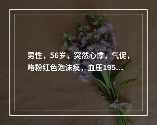 男性，56岁，突然心悸，气促，咯粉红色泡沫痰，血压195/9