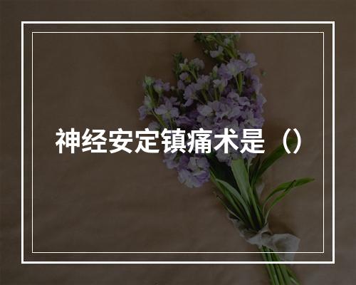 神经安定镇痛术是（）