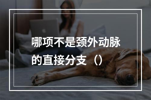 哪项不是颈外动脉的直接分支（）