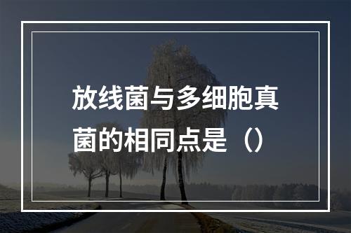 放线菌与多细胞真菌的相同点是（）