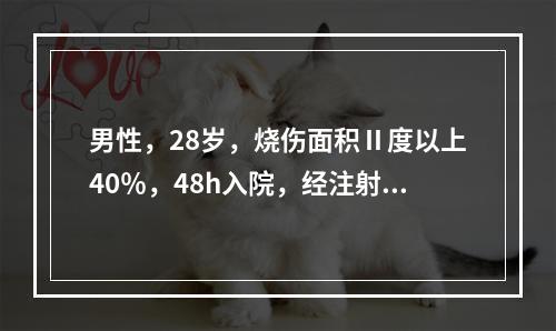 男性，28岁，烧伤面积Ⅱ度以上40％，48h入院，经注射吗啡