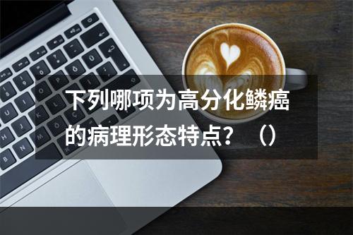 下列哪项为高分化鳞癌的病理形态特点？（）